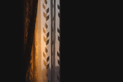 Close-up view of black background