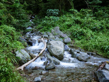 Stream flowing through rocks in forest