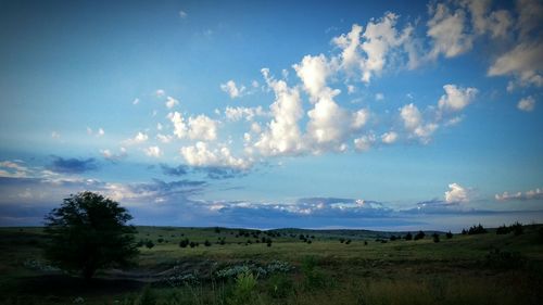 Scenic view of landscape against cloudy sky