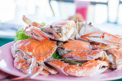 Close-up of fish served in plate