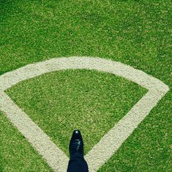 Low section of person standing on grass