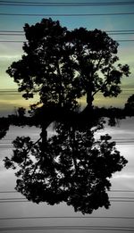 Silhouette tree by lake against sky at sunset