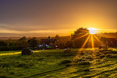 Scenic view of field against sky during sunset