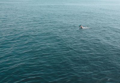 High angle view of person drowning on sea