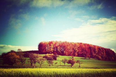 Scenic view of field against cloudy sky