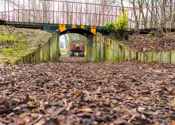 Footbridge amidst trees