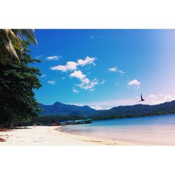 beach