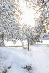 snow