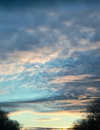 Low angle view of silhouette trees against sky at sunset