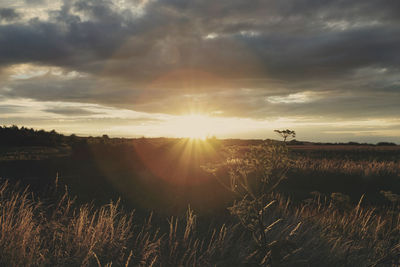 Scenic view of field against sky during sunset