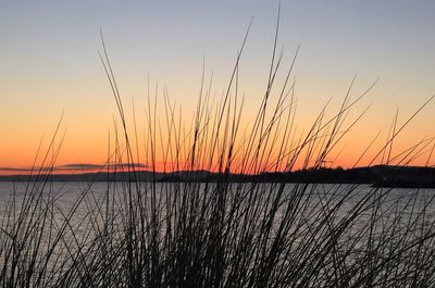 Scenic view of sunset