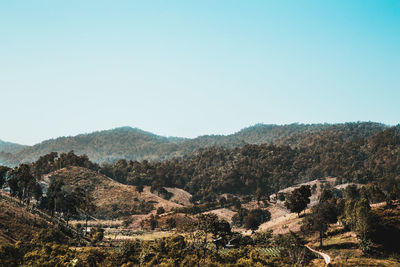 Scenic view of landscape against clear sky