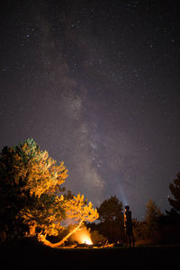 Silhouette trees with man standing by campfire on field against sky at night