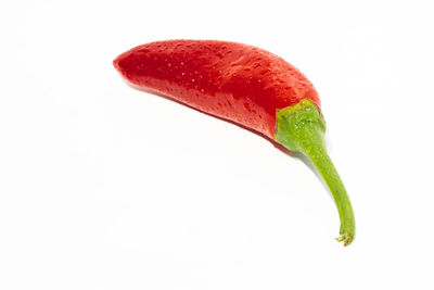 Close-up of red chili pepper against white background