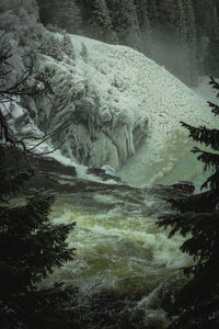 Scenic view of waterfall in forest during winter