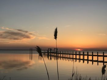 Silhouette wooden posts in sea against sky during sunset