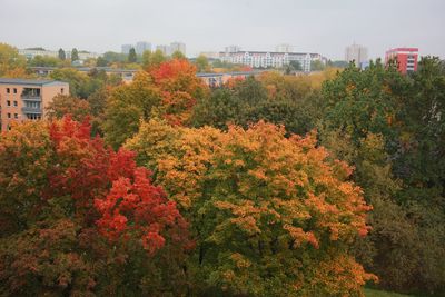 View of plants and trees