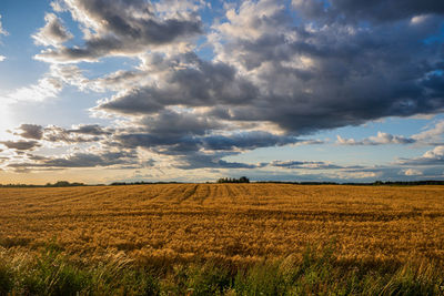 Scenic view of agricultural field against sky