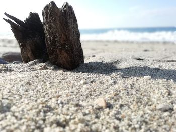 Close-up of pebbles on beach against sky