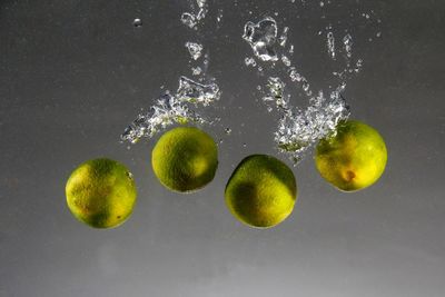 Close-up of water drops on fruit against gray background