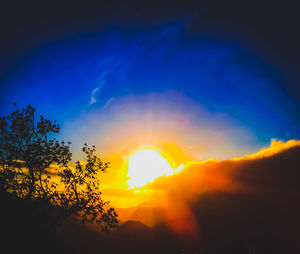 Low angle view of silhouette trees against sky during sunset