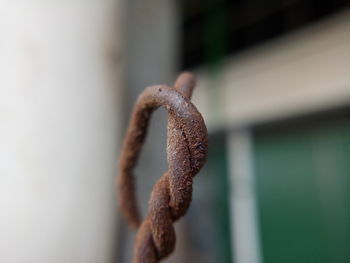 Close-up of rusty metal