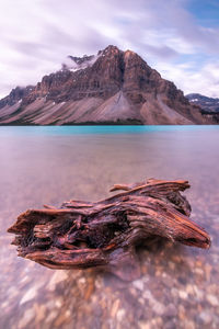 Driftwood on rock by lake against sky