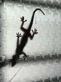 Shadow of silhouette on wall