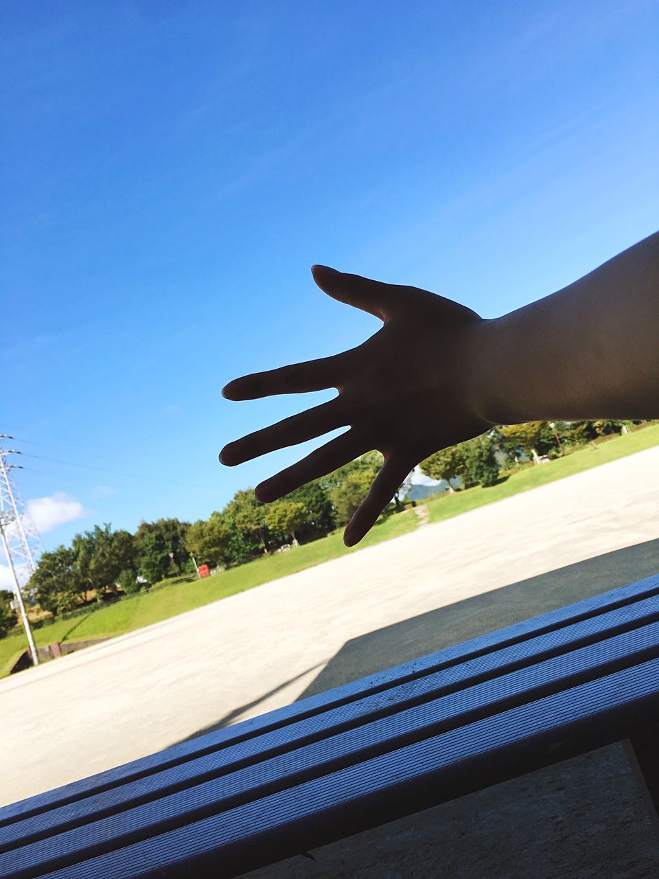 VIEW OF TREES AGAINST CLEAR BLUE SKY