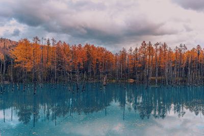 Scenic view of lake against sky during autumn