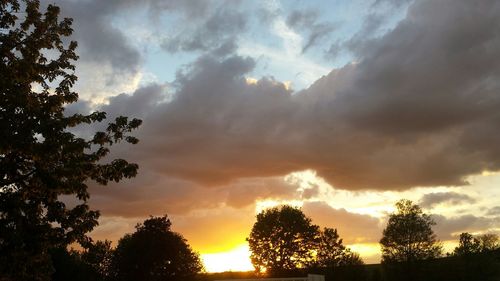 Silhouette of trees against cloudy sky