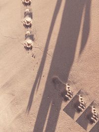 Shadow of person on sand with footprints 