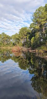 Reflection of trees in lake against sky