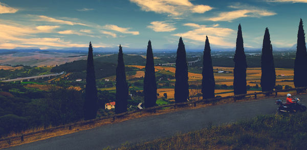 Panoramic shot of trees on field against sky