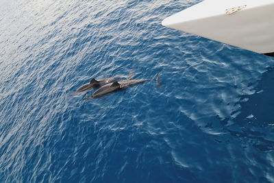 High angle view of boat in sea