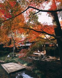 Trees and plants by building during autumn