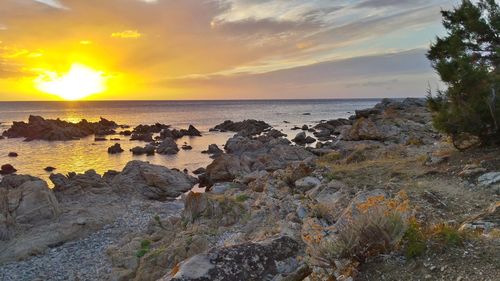 Scenic view of sea at sunset