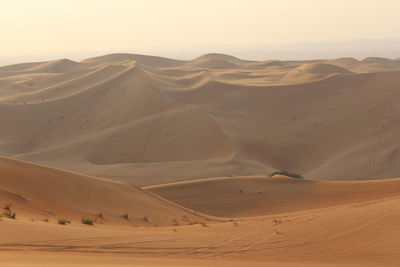 View of a desert