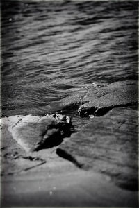 Close-up of water on beach