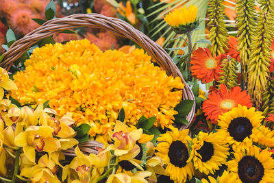 High angle view of yellow flowering plant