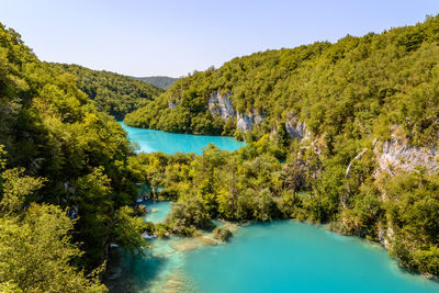 Scenic view of lake by trees against sky