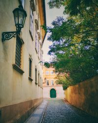 Narrow street amidst buildings