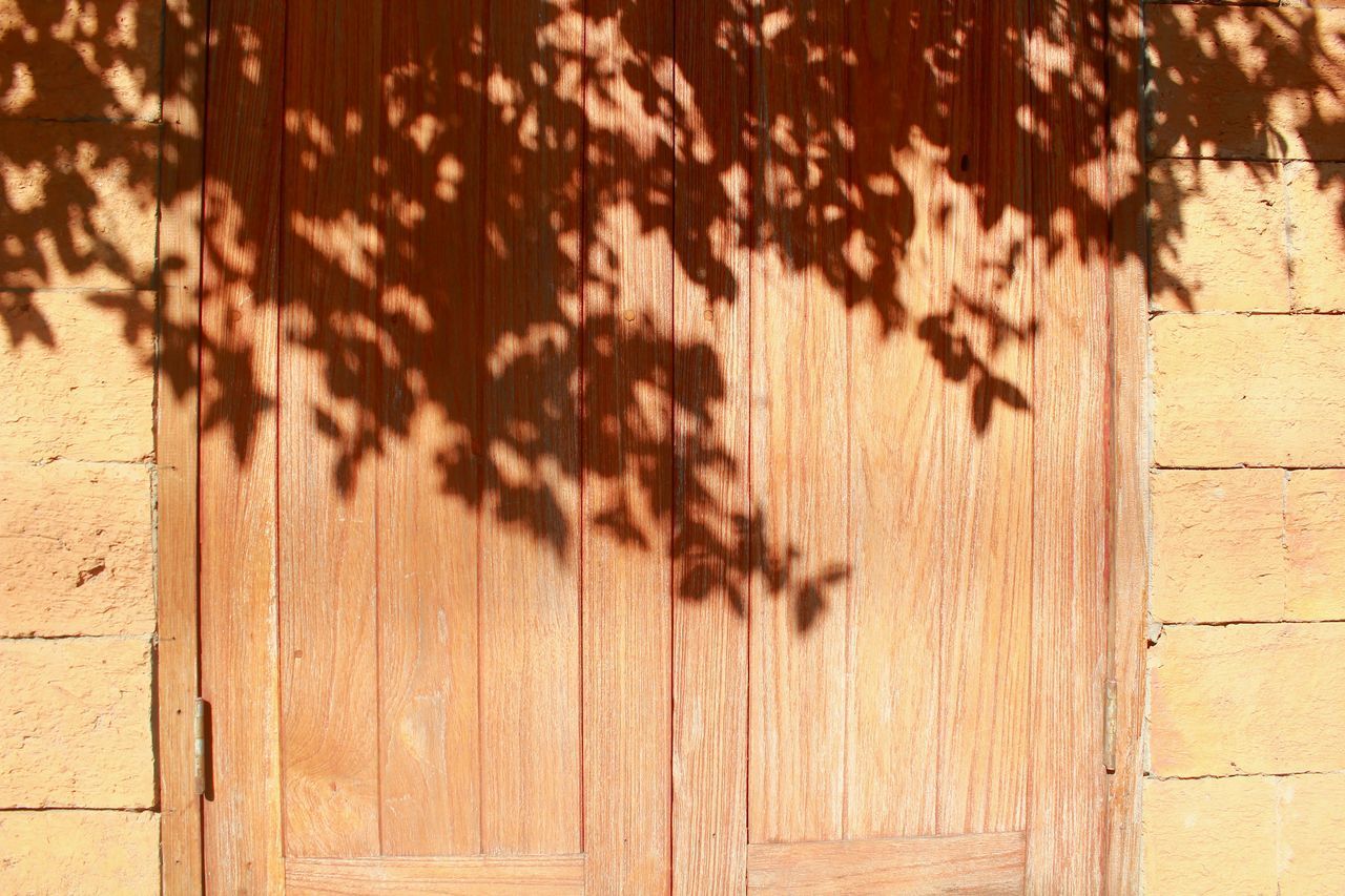 CLOSE-UP OF PEELED WALL