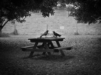 Rear view of an sitting on bench in park