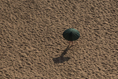 High angle view of footprint on sand