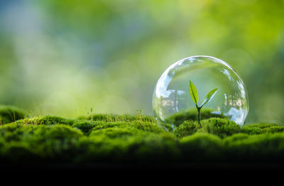 Close-up of crystal ball