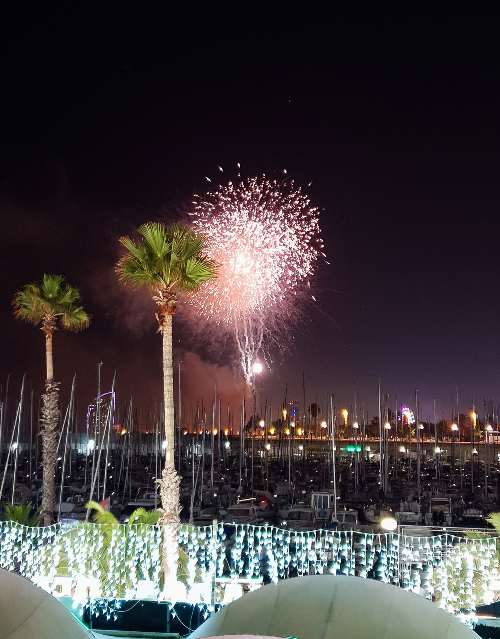 FIREWORK DISPLAY IN CITY AT NIGHT