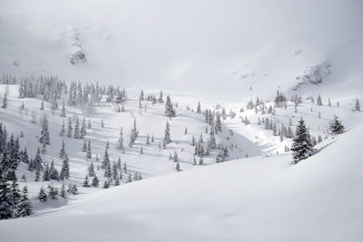 Scenic view of snow covered mountains against sky