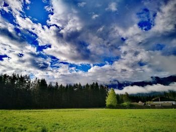 Scenic view of field against sky