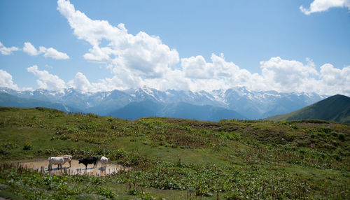 Scenic view of landscape against sky